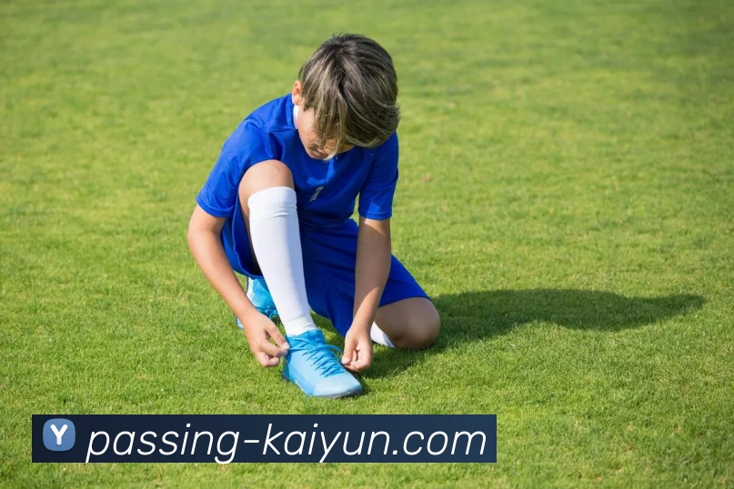 开云app发展历程